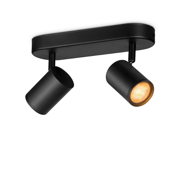 WiZ Plafondspot Imageo Zwart 2x5W Wi-Fi - gekleurd en wit - recht