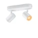 WiZ Plafondspot Imageo Wit 2x5W Wi-Fi - gekleurd en wit - recht
