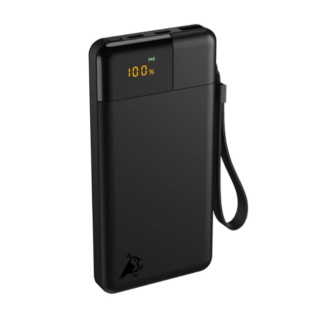 Aqiila Powerbank Powerbird B10 20W 10000mAh zwart