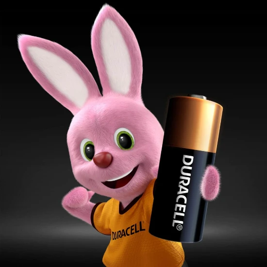 Duracell Alkaline MN21-batterijen (2 stuks)