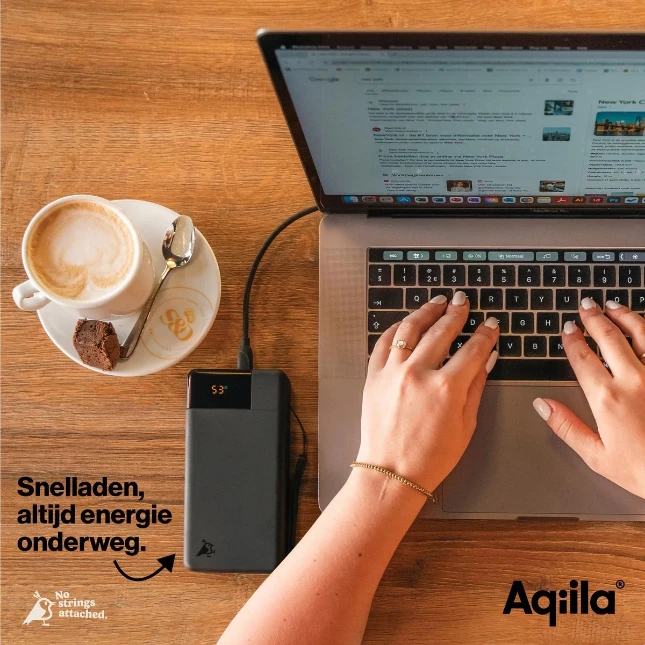 Aqiila Powerbank Powerbird B20+ 65W 20000mAh zwart