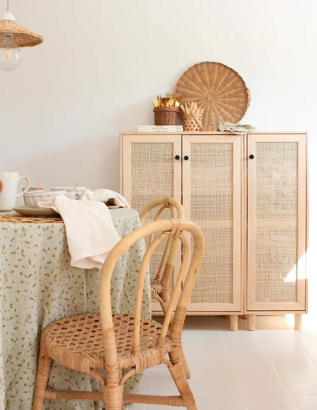Astigarraga Kast rotan  verticaal - 1 deur