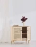 Astigarraga Dressoir rotan - 2-deurs