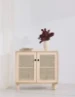 Astigarraga Dressoir rotan - 2-deurs