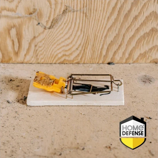 Home Defense Muizenval Classic (2 stuks)