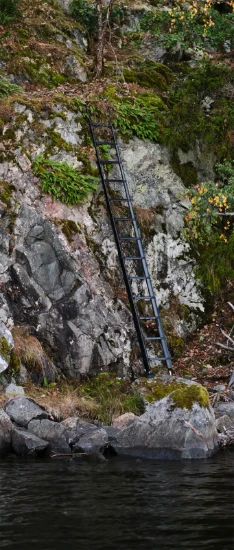 Telesteps Tactical Line Telescopische ladder 3,5