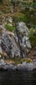 Telesteps Tactical Line Telescopische ladder 3,5