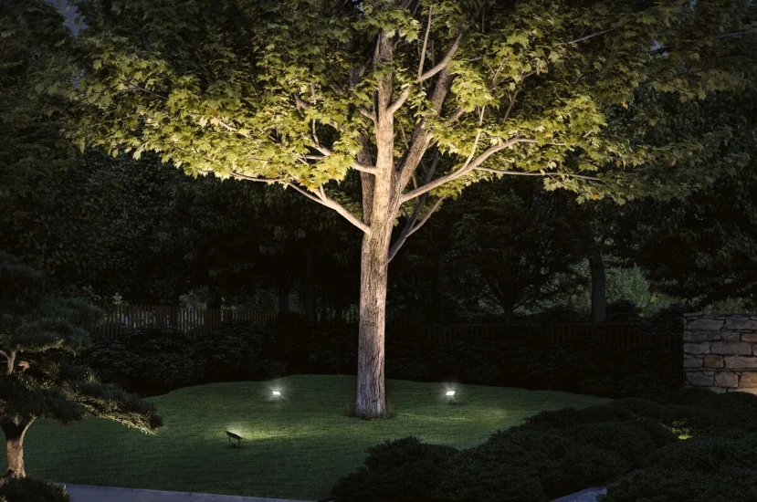 Paulmann Outdoor Plug&Shine Flood Spot 15,5W  - IP65
