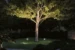 Paulmann Outdoor Plug&Shine Flood Spot 15,5W  - IP65