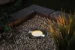 Paulman Plug & Shine Floor Smart Spot - IP67 - Zwart