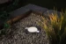 Paulman Plug & Shine Floor Smart Spot - IP67 - Zwart