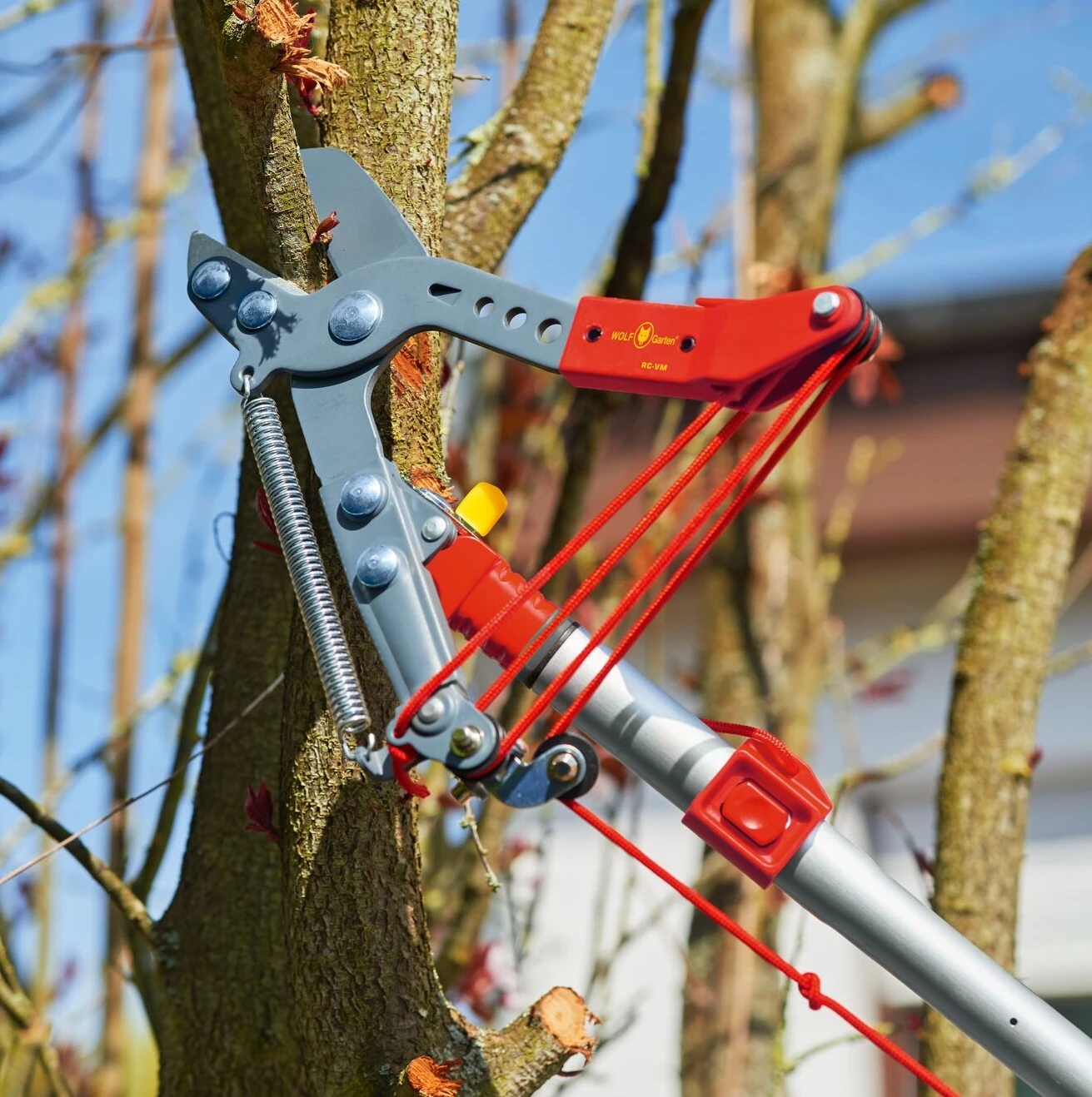 WOLF-Garten Boomschaar Vario met aambeeld RC-VM
