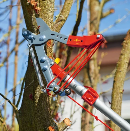 WOLF-Garten Boomschaar Vario met aambeeld RC-VM