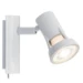 Paulmann Spotlight Teja 10W GU10 wit - 1-spot