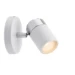 Paulmann Spotlight Zyli IP44 10W GU10 dimbaar wit - 1-spot