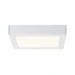 Paulmann LED-paneel Lunar 225x225mm 15,4W 3000K wit