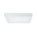 Paulmann LED-paneel Lunar 300x300mm 17,2W 3000K wit