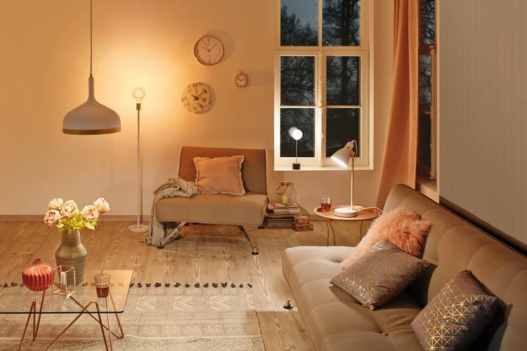 Paulmann Neordic Hanglamp Embla 20W E27 zwart/koper