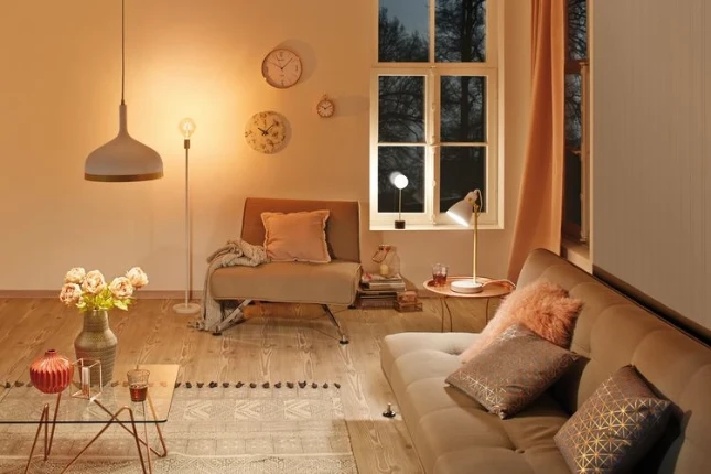 Paulmann Neordic Hanglamp Embla 20W E27 zwart/koper