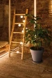 Paulmann Out Mobile lampionketting oplaadb 7x5lm