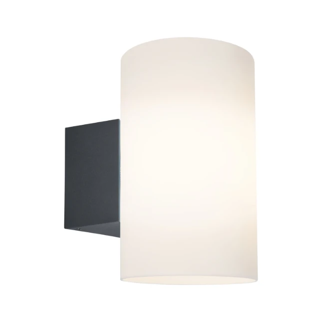Paulmann Buitenwandlamp Tube kunststof - antraciet