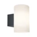 Paulmann Buitenwandlamp Tube kunststof - antraciet