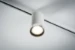 Paulmann URail LED-railspot Tube 6,5W wit - 1-spot