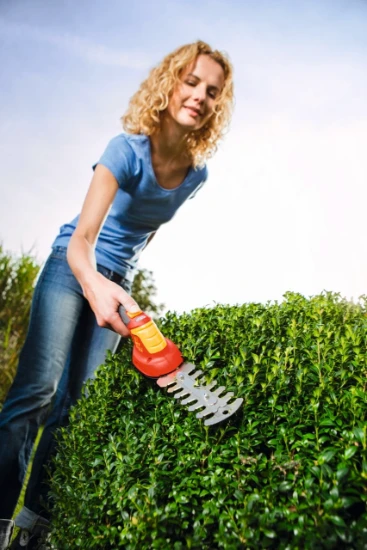 WOLF-Garten Accu Buxusschaar Finesse 30B Li-Ion