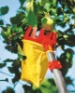 WOLF-Garten Fruitplukker Vario RG-M