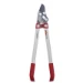 WOLF-Garten Takkenschaar Papegaaibek Basic PC RR 650