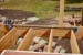 Irwin XP Snellijmtang & Spreider 1250 mm