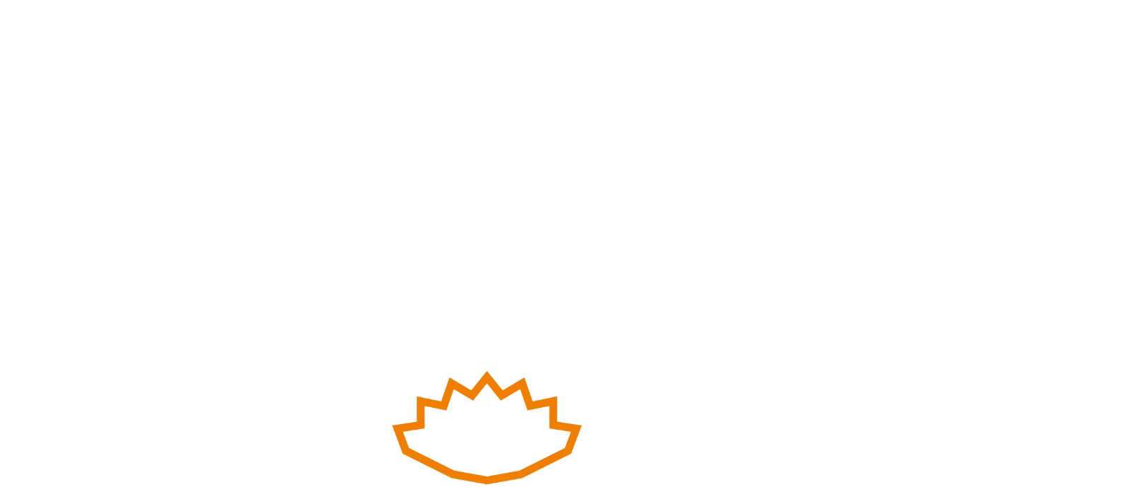 Steinel Dét. de mouv. IR IS2160 ECO blc