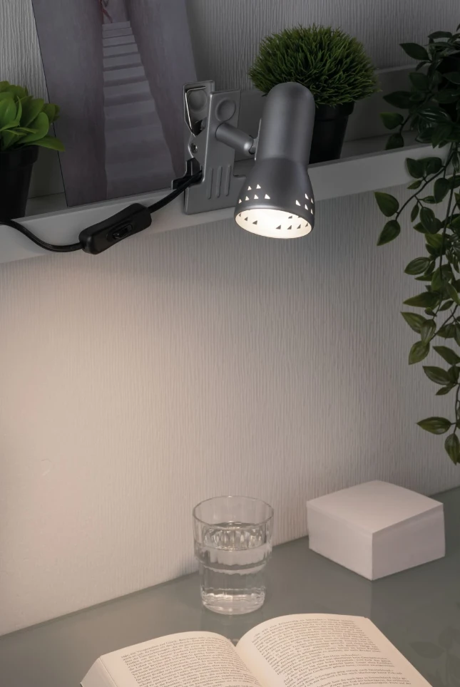 Paulmann Klemspot Gryps 40W E14 geborsteld staal