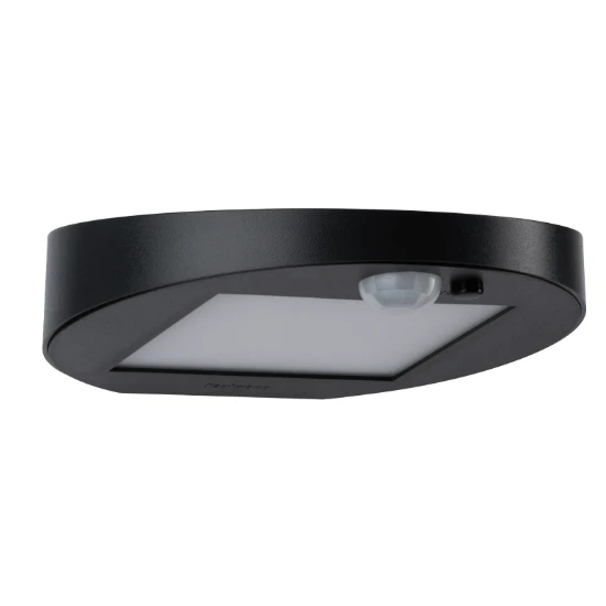 Paulmann Outdoor Solar Buitenwandlamp Ryse IP44 met bewegingsmelder