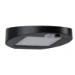 Paulmann Outdoor Solar Buitenwandlamp Ryse IP44 met bewegingsmelder