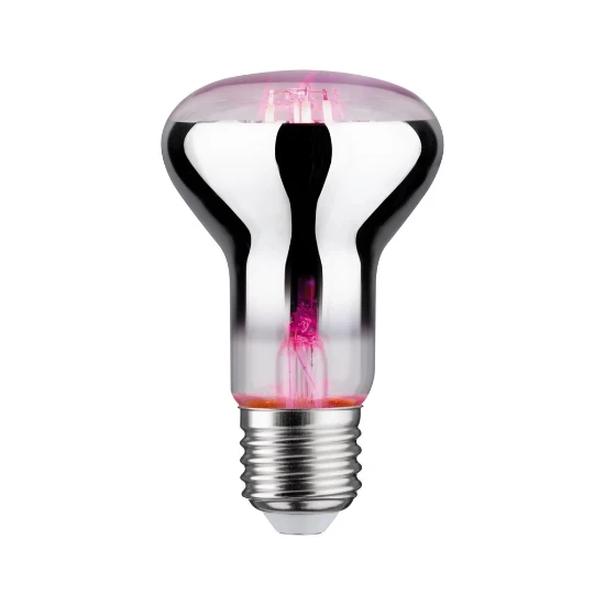 Paulmann LED Fil Plant R63 6, 230V