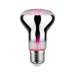 Paulmann LED Fil Plant R63 6, 230V