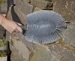 Leifheit Professional universele duster plumeau