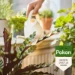 Pokon Bio Kamerplanten Voeding 500ml