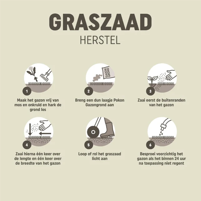 Pokon Graszaad Herstel 1kg