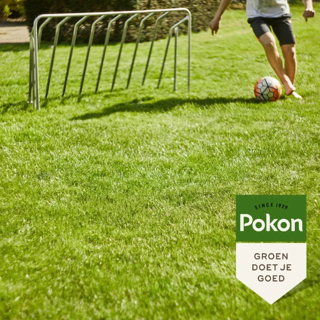 Pokon Graszaad RPR Inzaai 1kg
