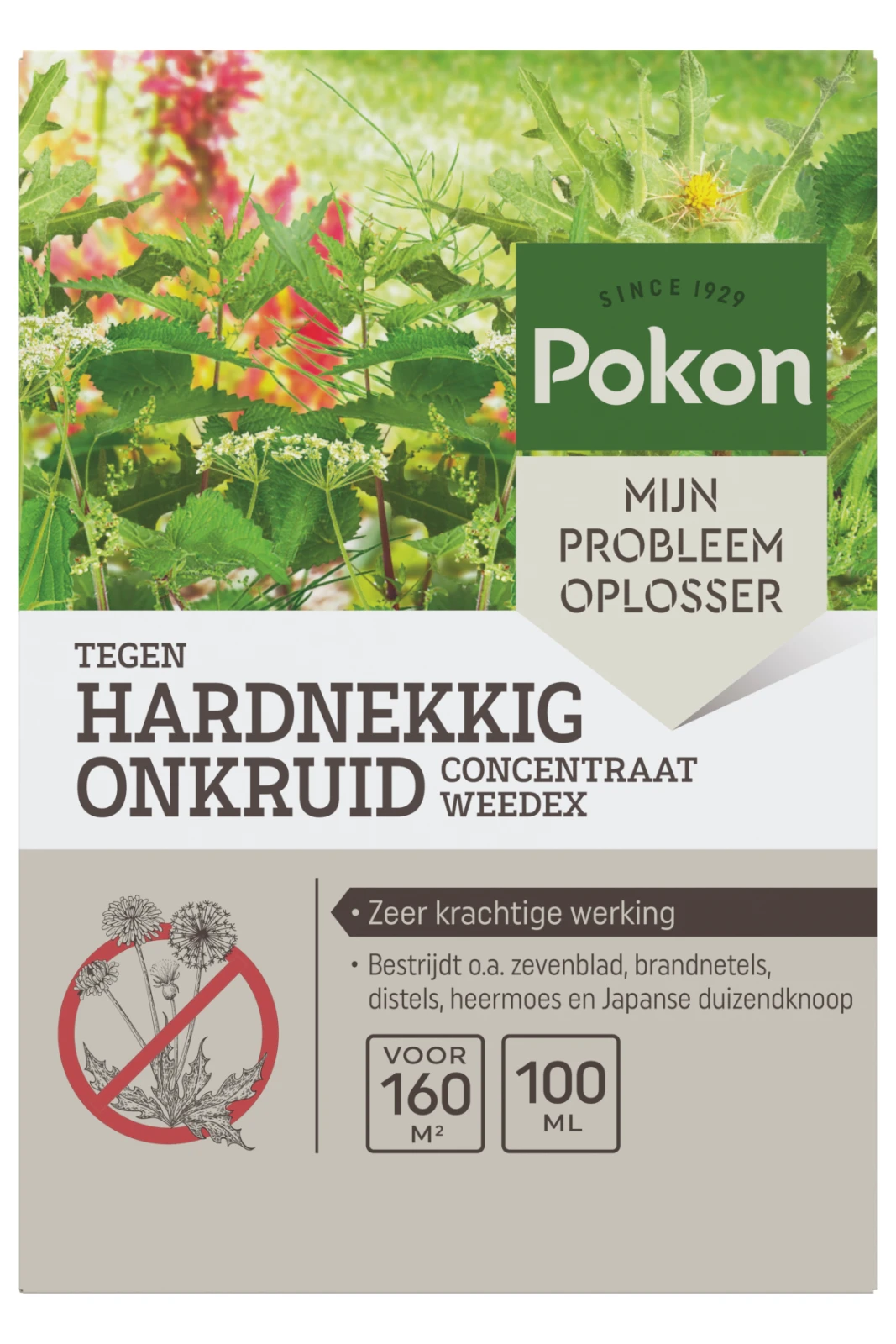 Pokon Tegen Hardnekkig Onkruid Concentraat 100ml