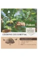 Pokon Eikenprocessiemotval