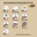 Pokon Eikenprocessiemotval