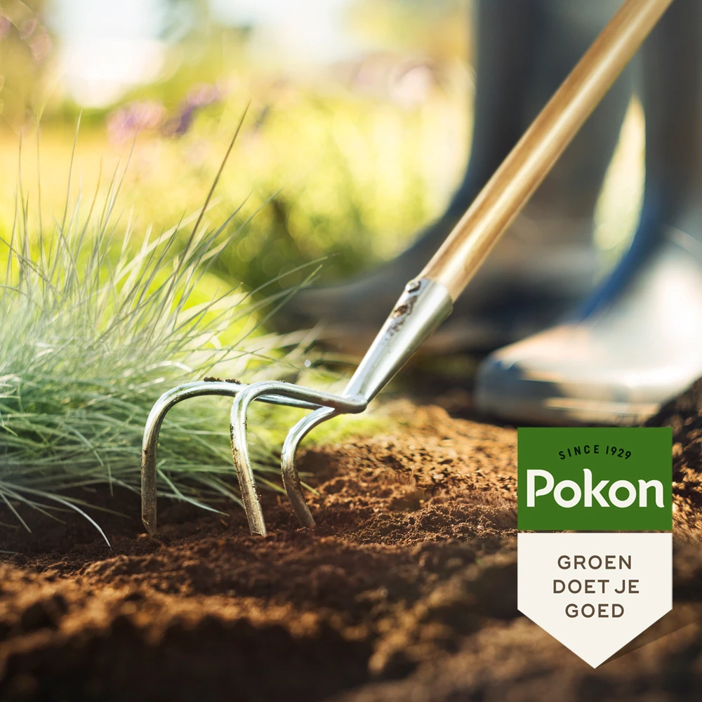 Pokon Bio Bemeste Tuincompost 20L