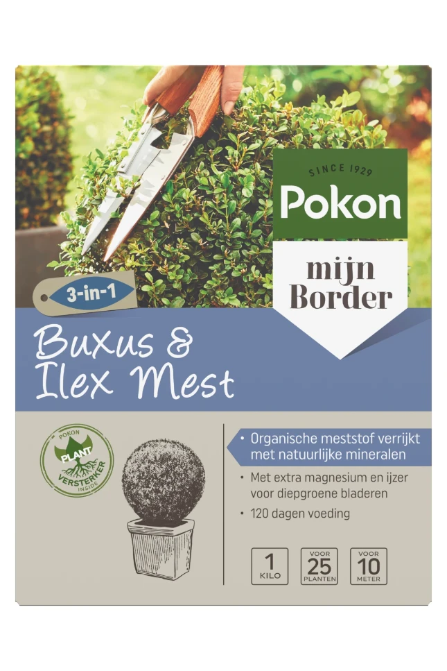 Pokon Buxus & Ilex Mest 1kg