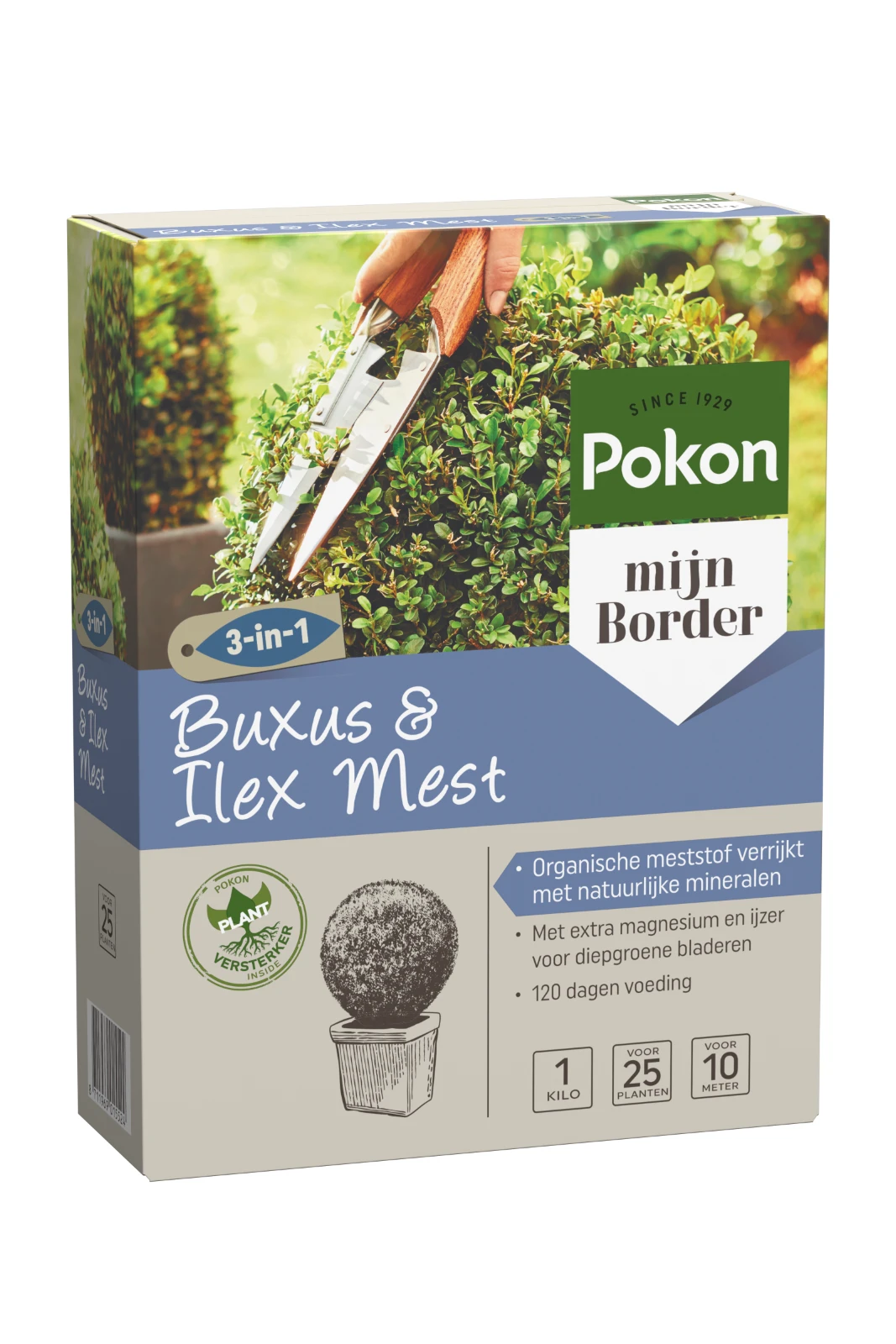 Pokon Buxus & Ilex Mest 1kg