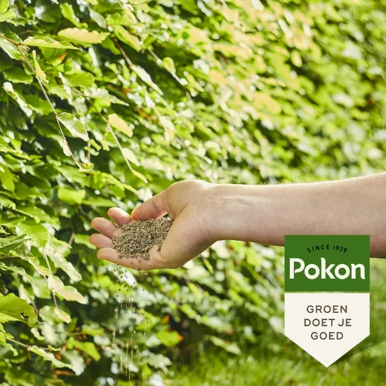 Pokon Beuken & Hagen Mest 2,5kg