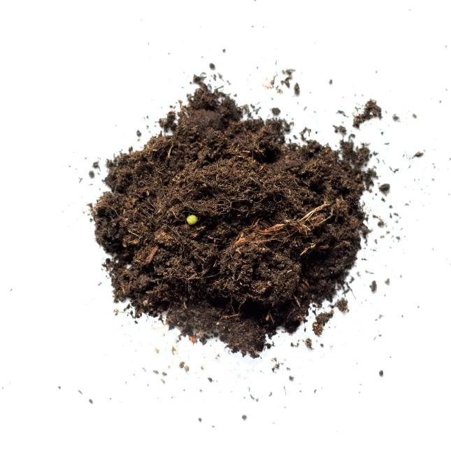 Pokon Kamerplanten Potgrond 10L