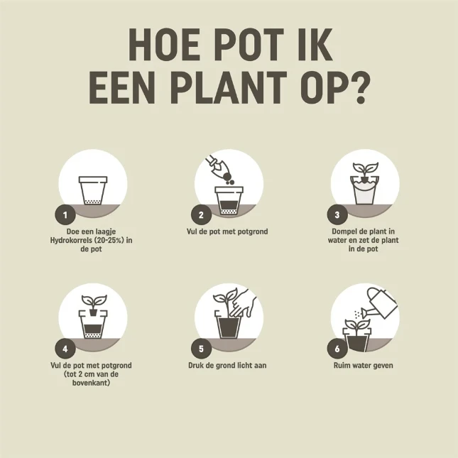 Pokon Kamerplanten Potgrond 20L